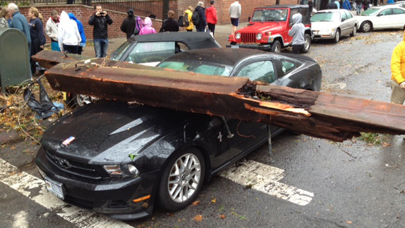 Illustration for article titled A Mustang Floats Down 20th St.